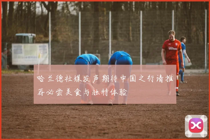哈兰德社媒发声期待中国之行请推荐必尝美食与独特体验