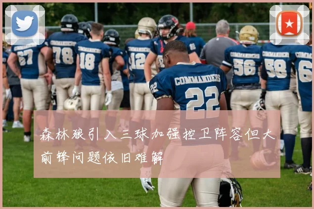 森林狼引入三球加强控卫阵容但大前锋问题依旧难解